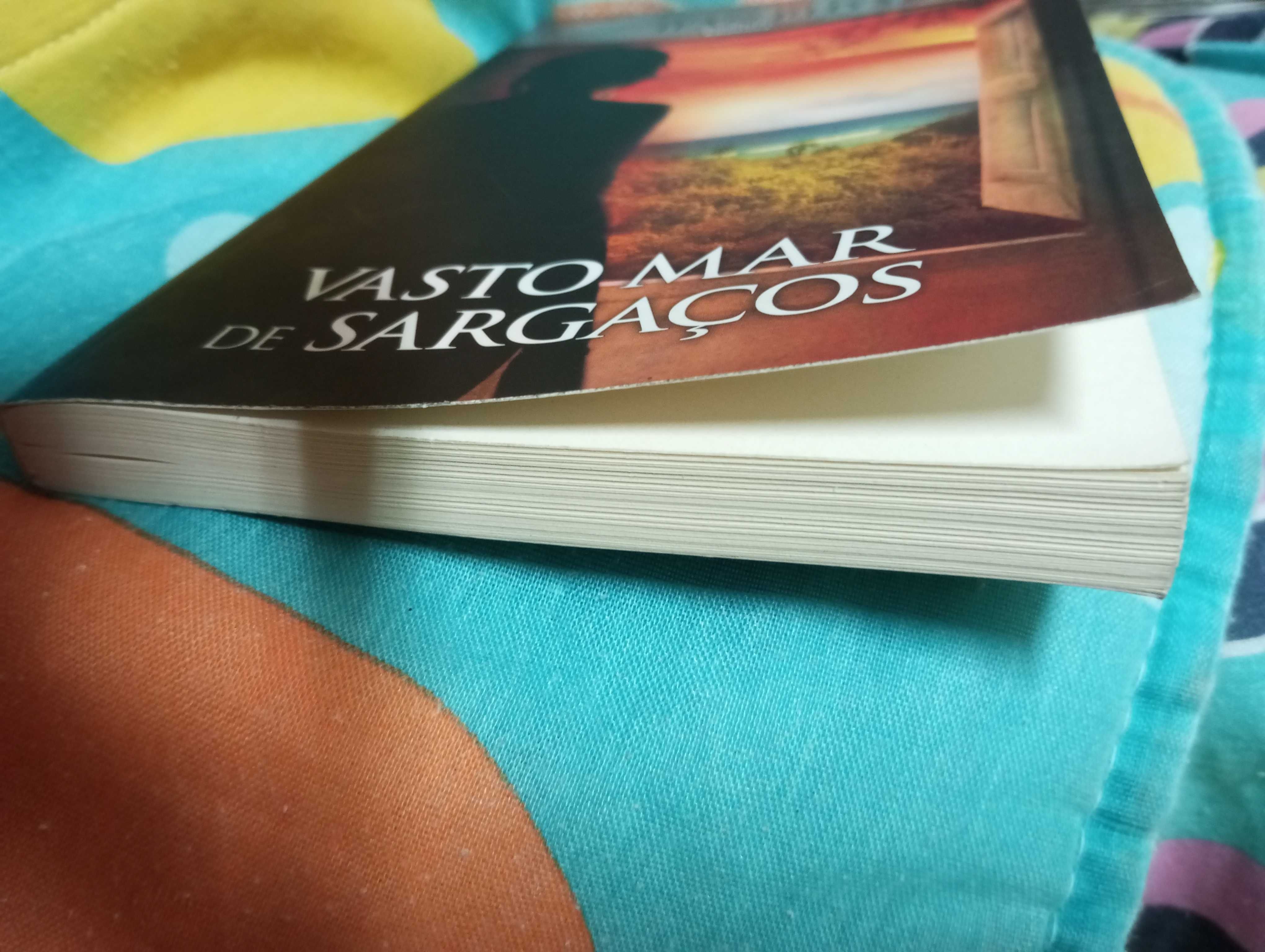 Basto mar de sargaços, Jean Rhys