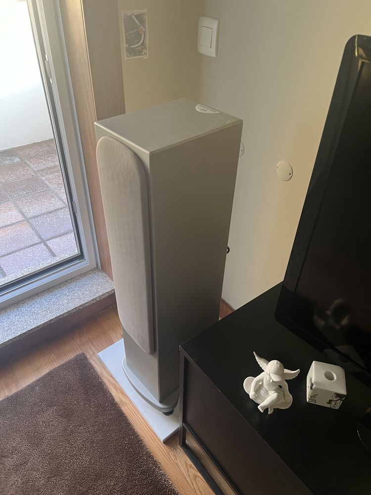 Monitor audio RS6