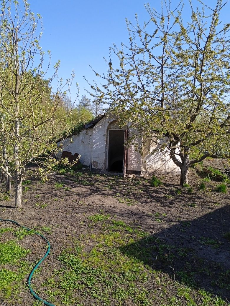 Продається будинок в Андрушівському районі