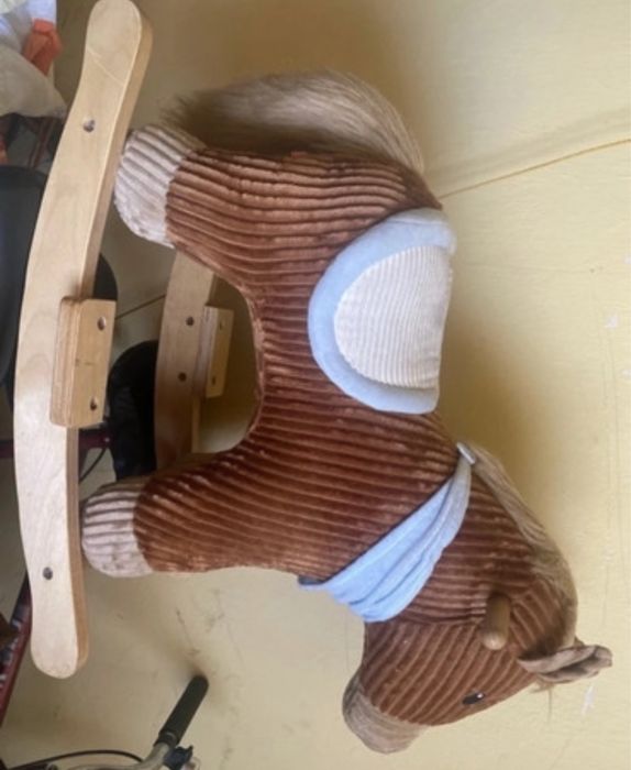 Kon na biegunach sztruks