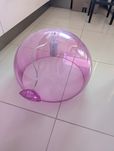 Lampa Kartell Fly w kolorze różowym
