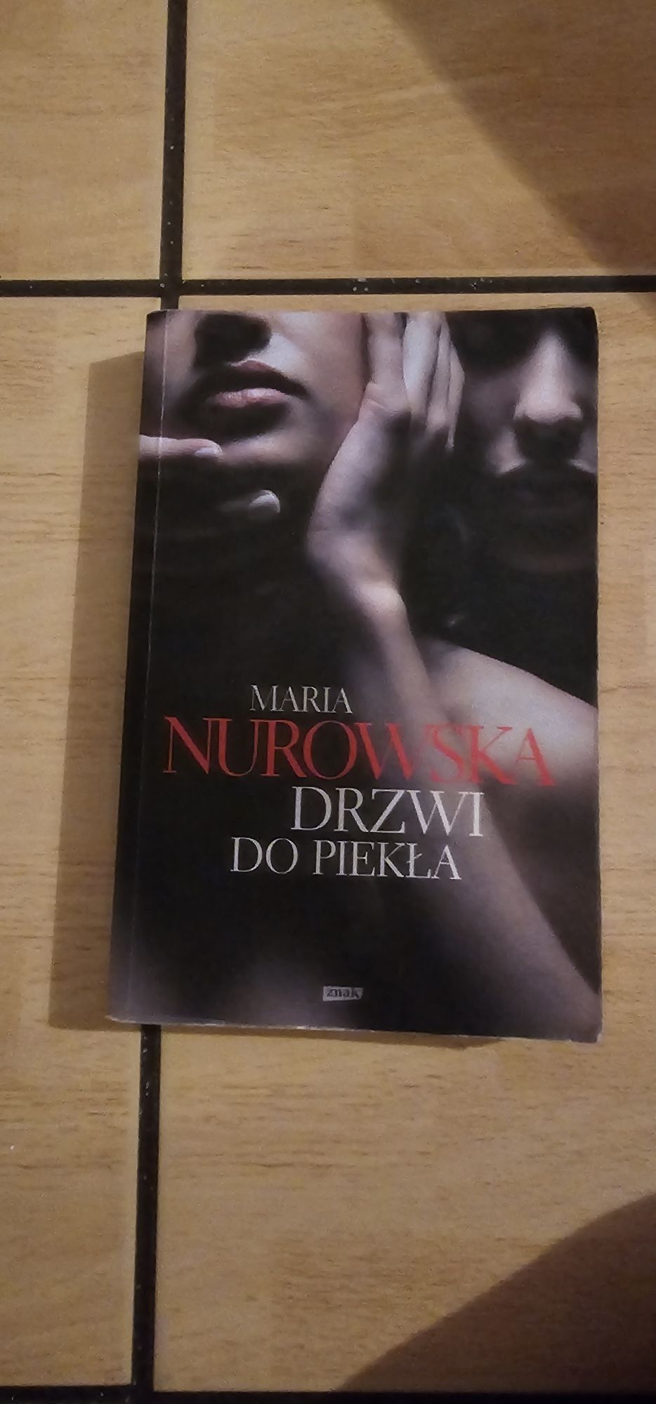 Książka Drzwi do piekła Maria Nurowska