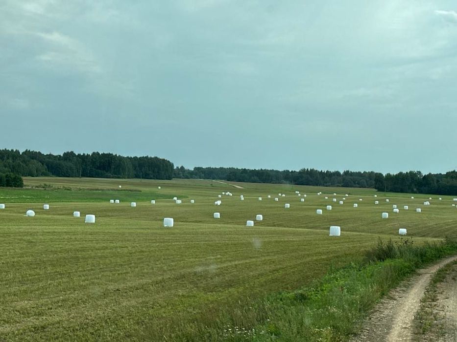 Sianokiszonka 900sztsuper jakości, trawa, koniczyna,Lucerna. Transport