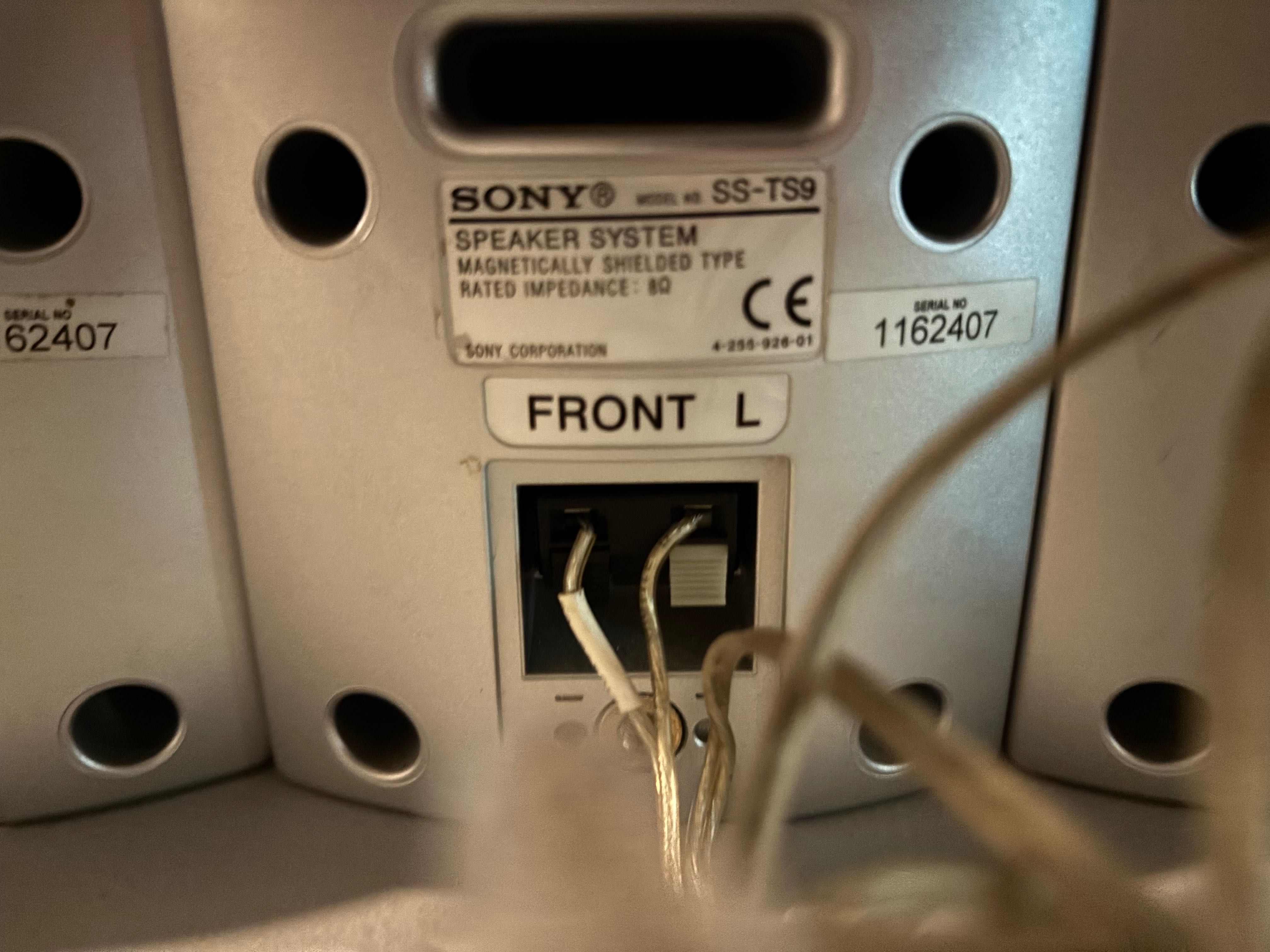 Conjunto de colunas Sony