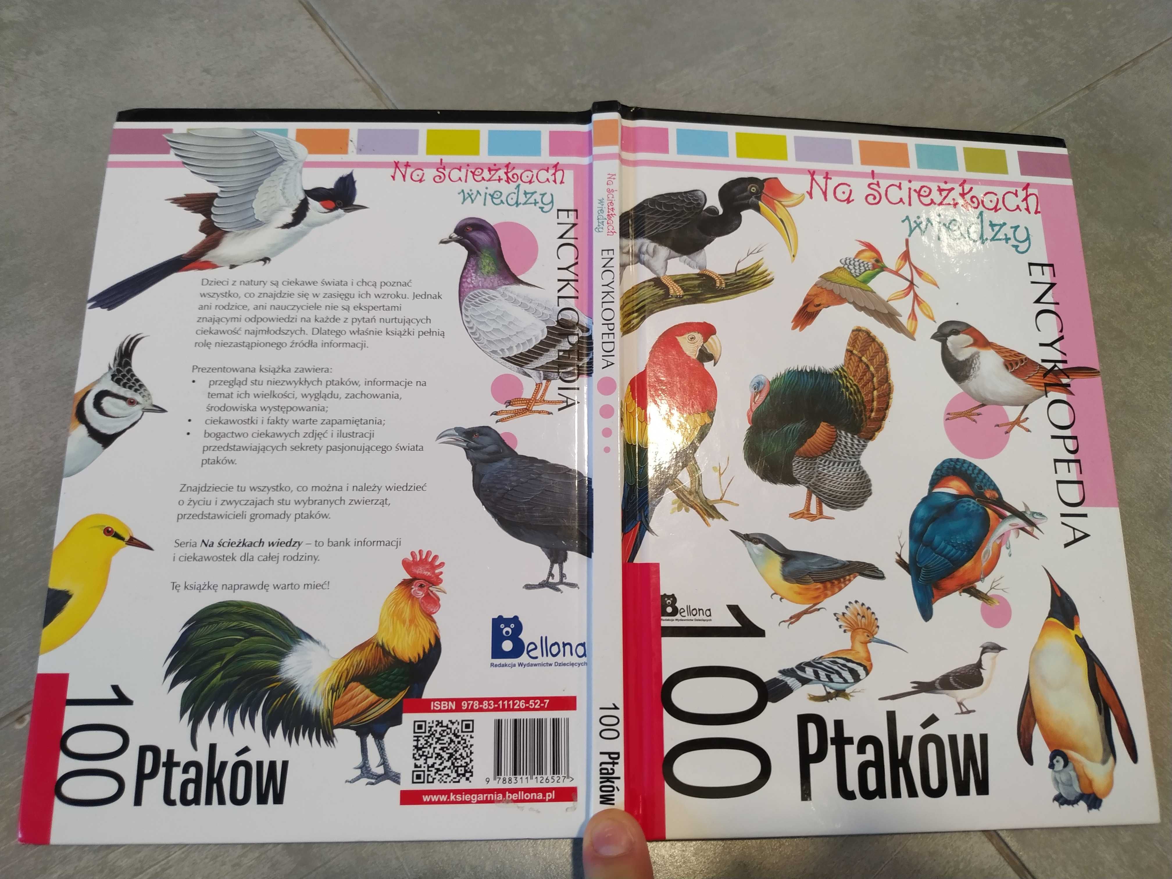 Książka 100 Ptaków / Encyklopedia / Bellona / SPRAWNA /DARMOWA DOSTAWA