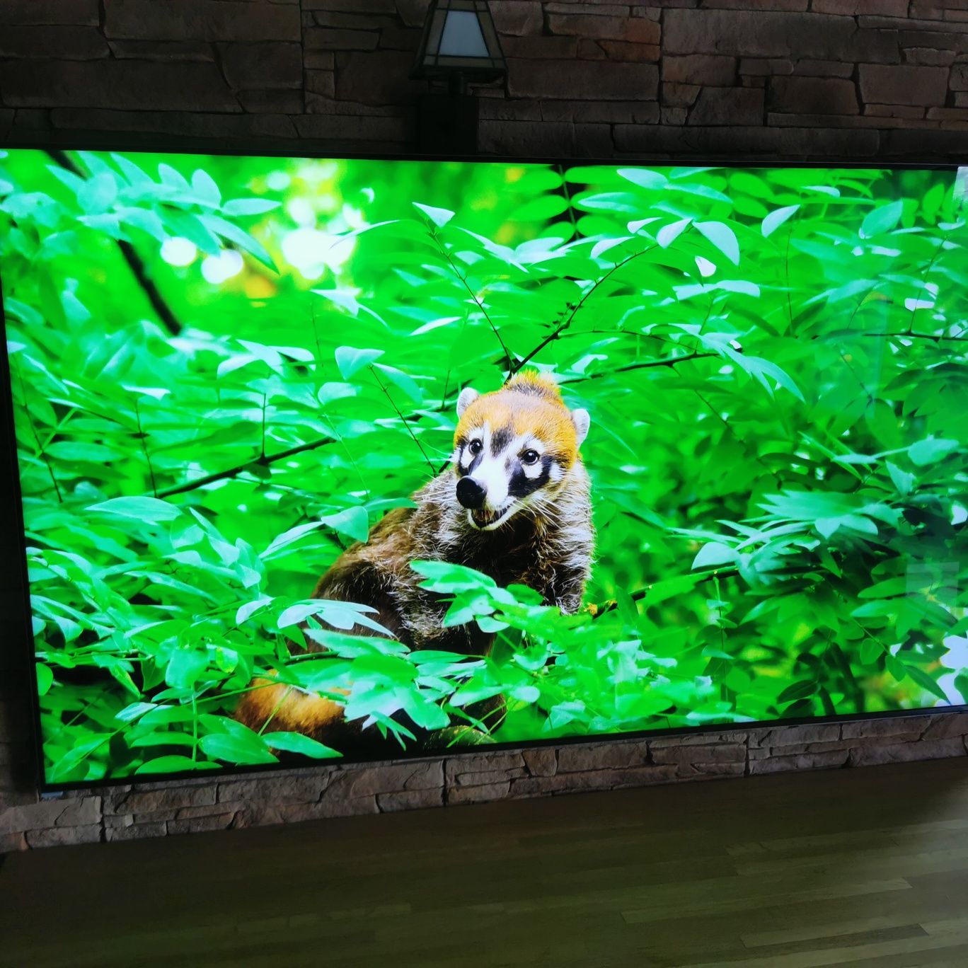 Telewizor SAMSUNG QE65QN800D 65" NEO QLED 8K Mini LED 120Hz