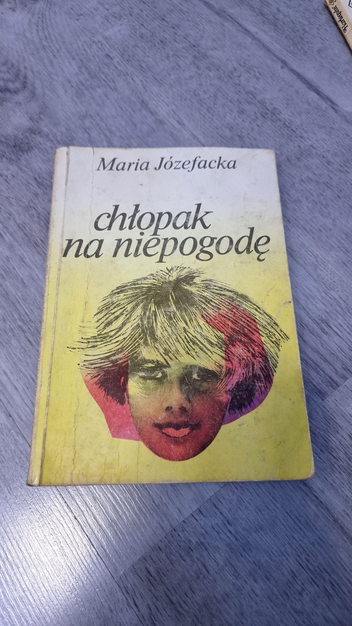 Chłopak na niepogodę Maria Józefacka