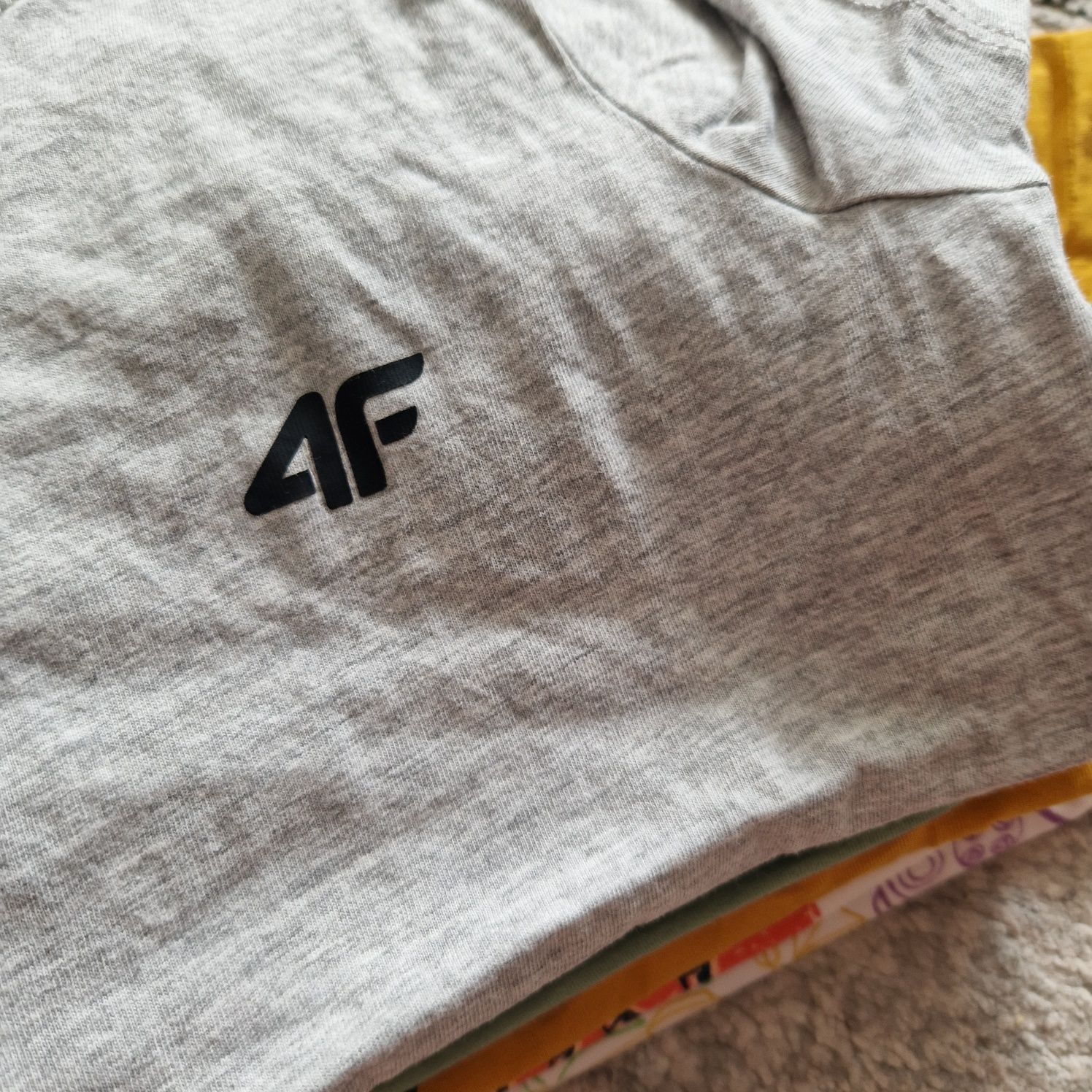 Koszulki tshirty chłopięce 4f inne