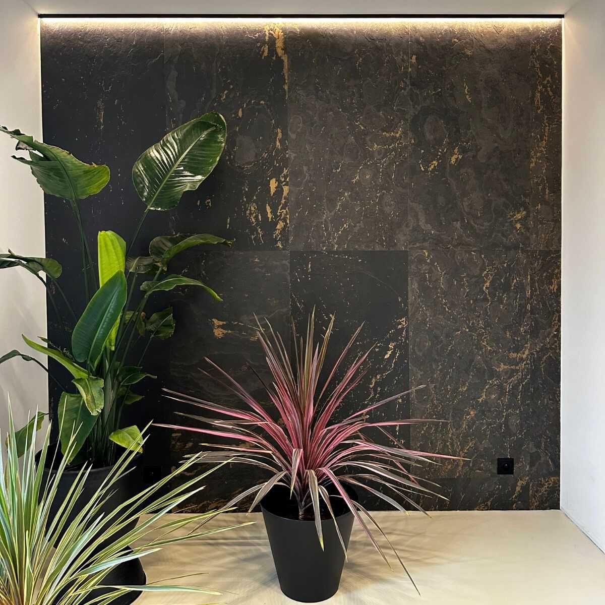 PROMOCJA! Fornir Black Gold | Kamienna Tapeta | Dostawa w 3 dni