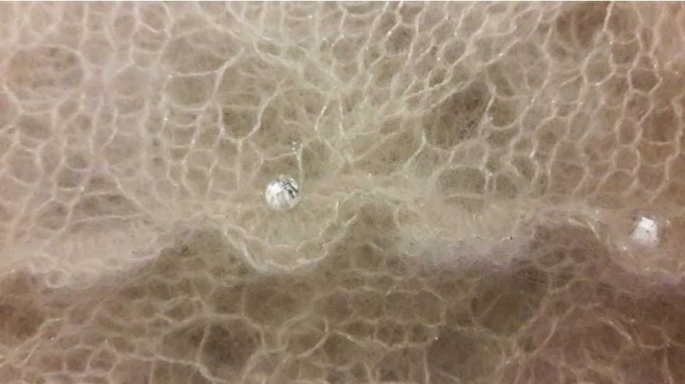 Біла айворі павутинка 44-46, М