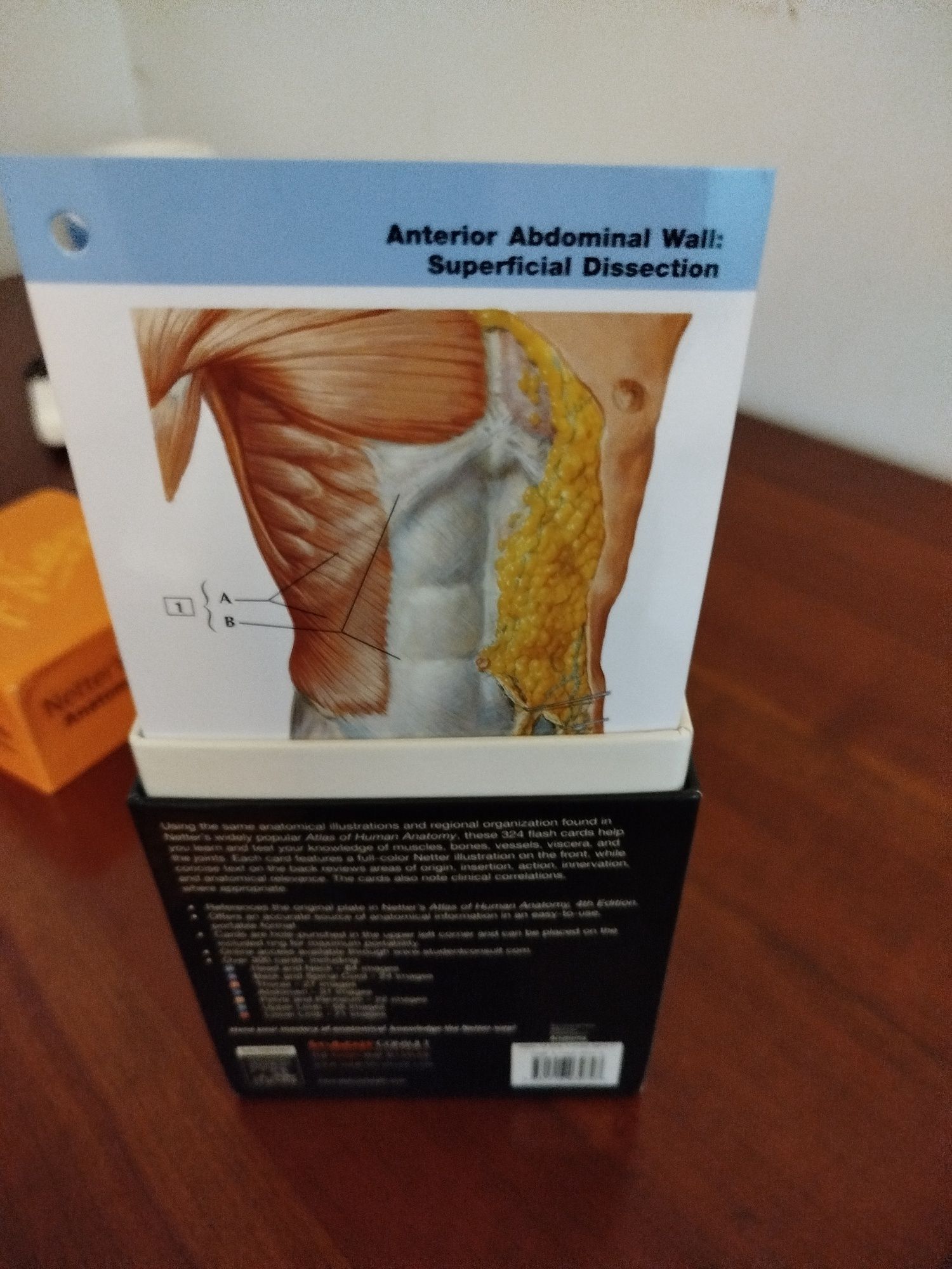 Livro Anatomia .Netter s Anatomy