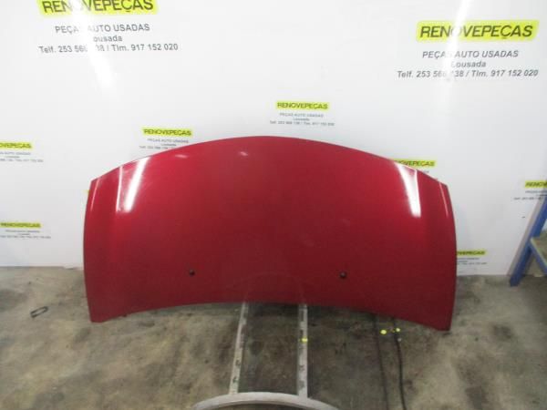 Capot RENAULT Clio III (BR0/1, CR0/1)