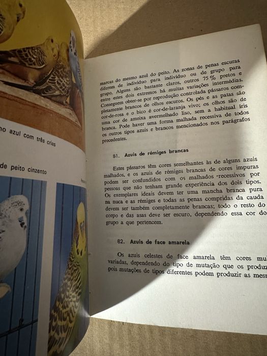 Livro criação de periquitos