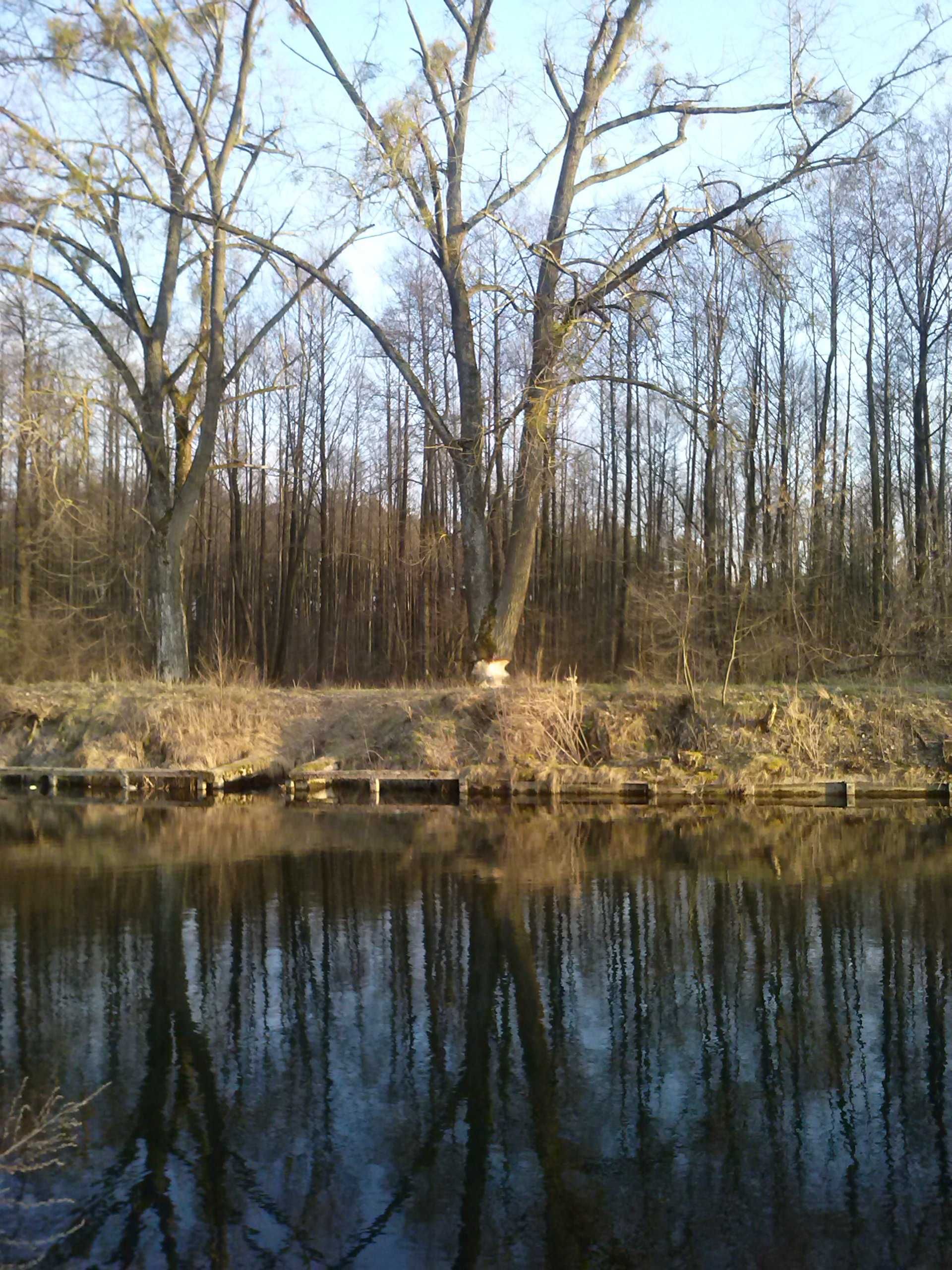 Wynajmę domek letniskowy w Augustowie