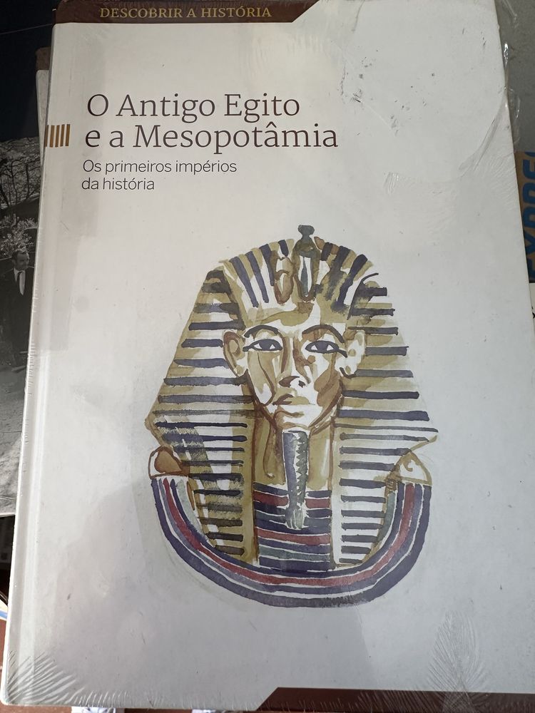 Livro egipto e mesoptamia