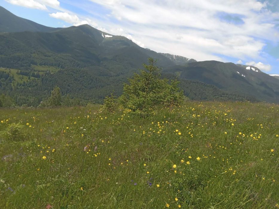 Продаж земельної ділянки