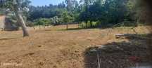 Lote de Terreno  Venda em São Miguel do Souto e Mosteirô,Santa Maria d