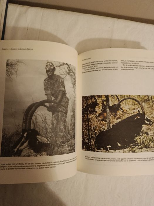 África homens e animais bravios