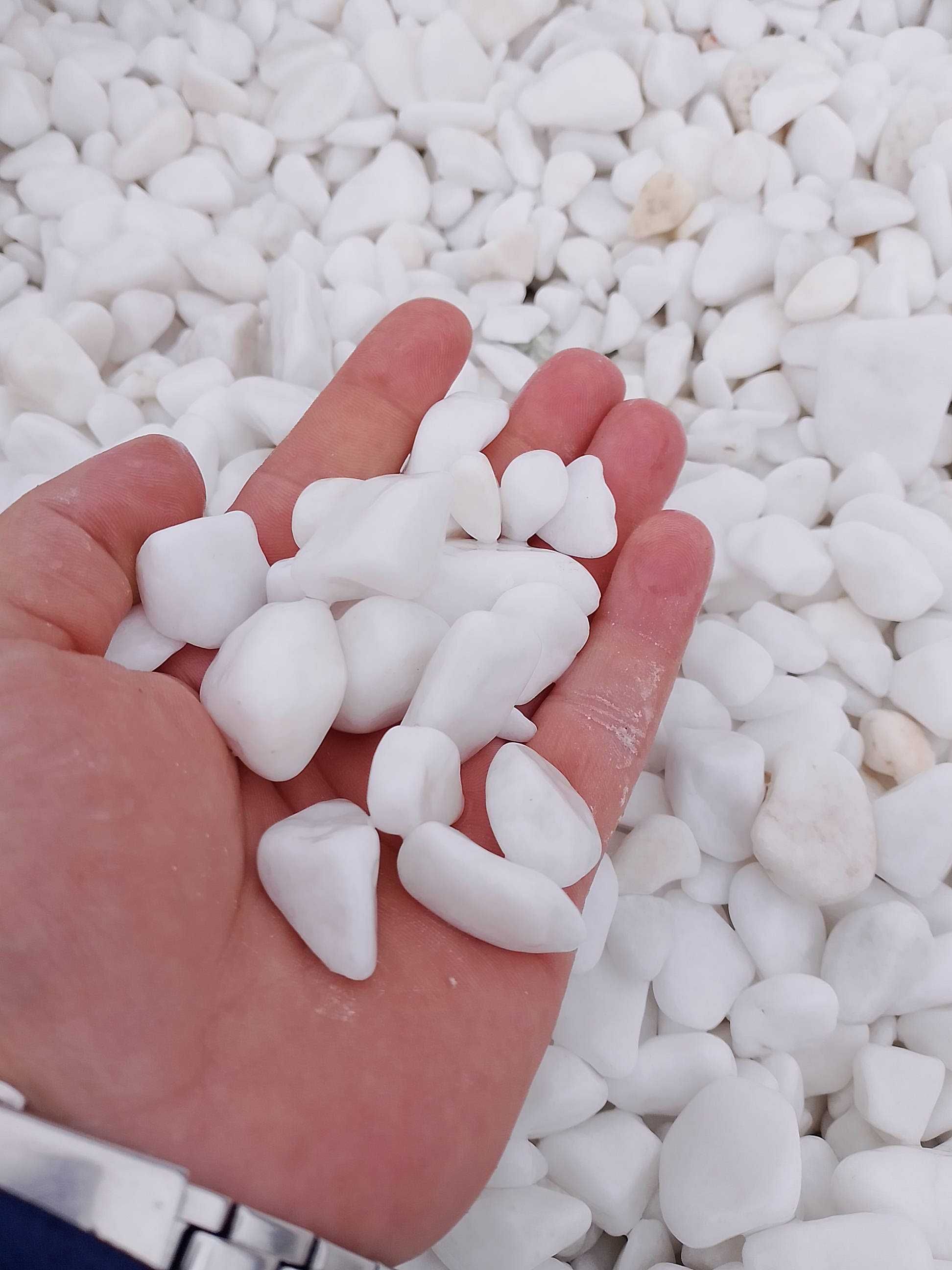 Grys Granitowy "Dalmatyńczyk"/Kamienie ozdobne w SUPER CENIE!