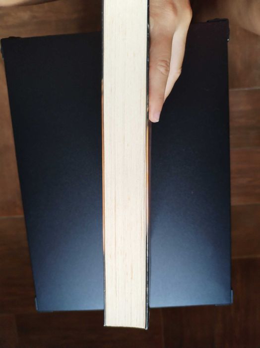 Livro " Procuro-te" Lesley Pearse