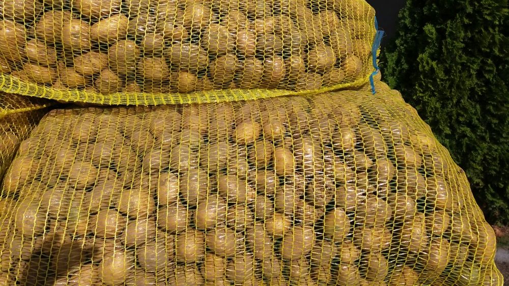 Ziemniaki paszowe odpadowe drobne