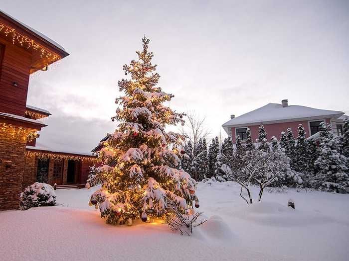 ТОП ПОДАРОК! Гирлянда декор для дома. Гірлянда з пультом хвойная лапа