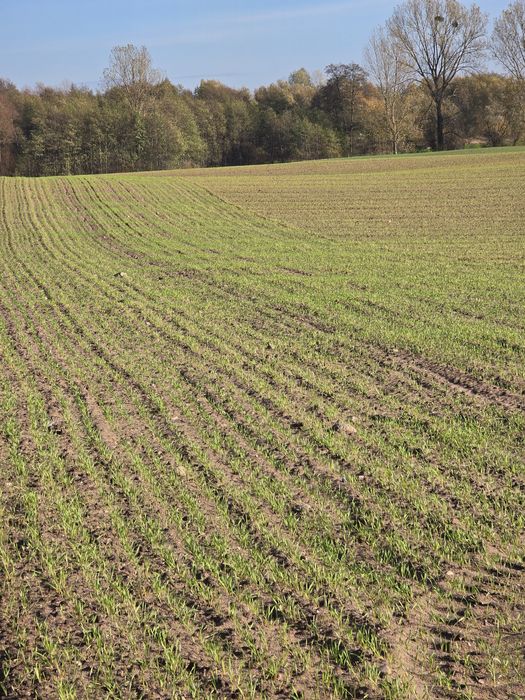 Działka - z warunkami zabudowy