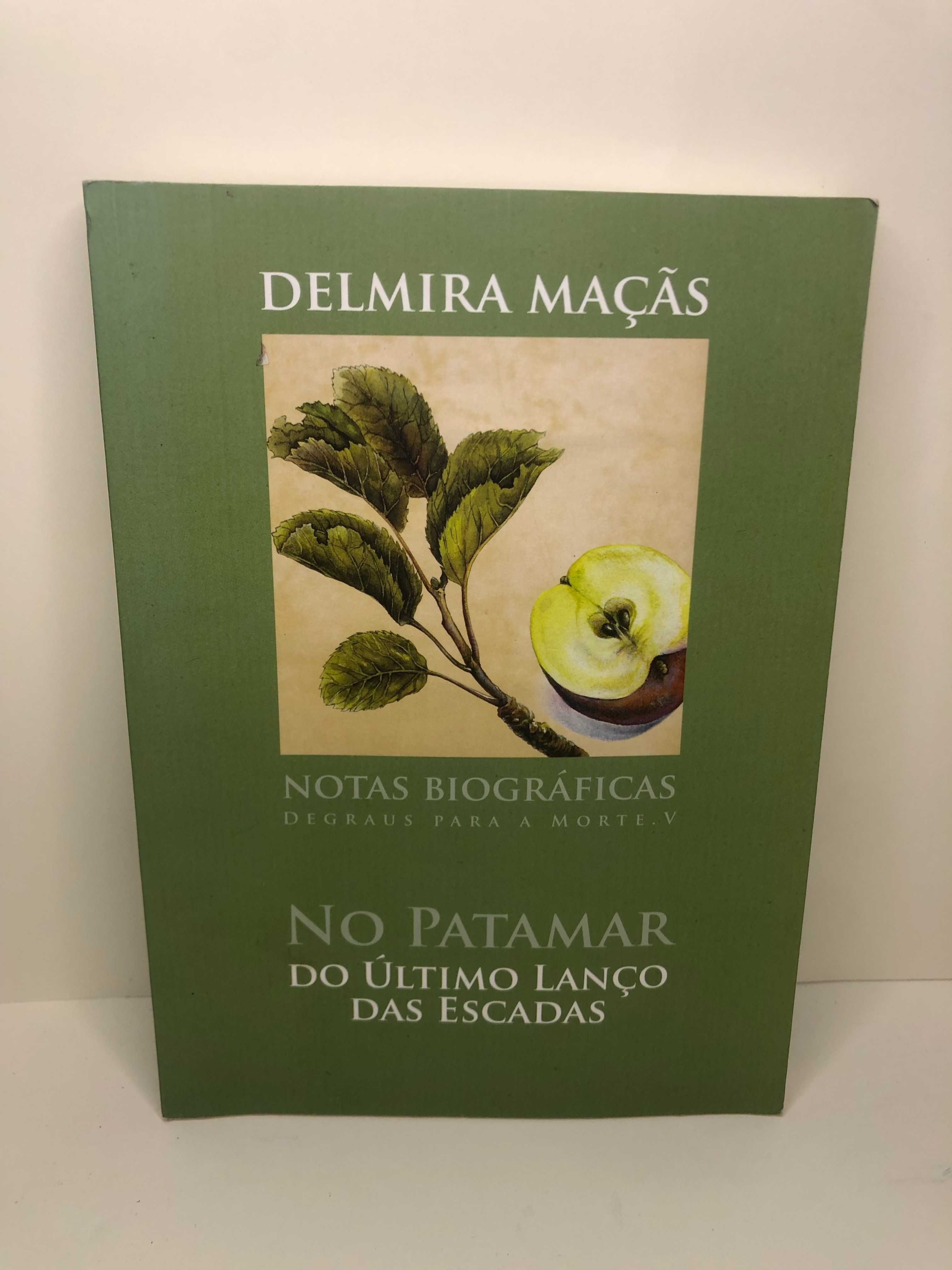 No patamar do último lanço das escadas - Delmira Maçãs