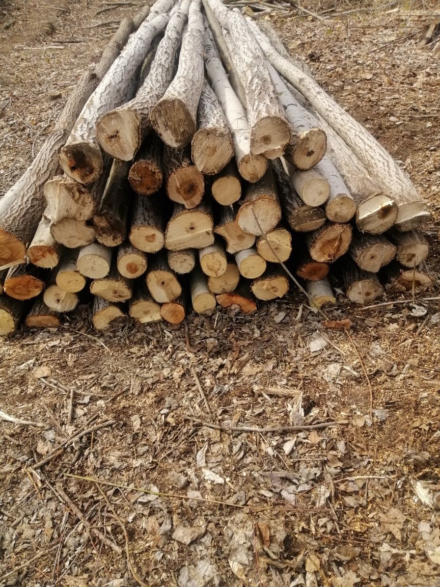 Стойки під монолітну плиту.