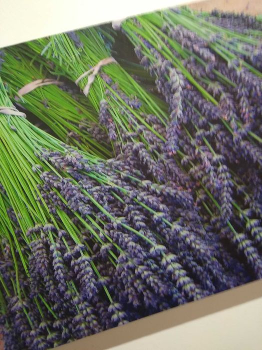 Quadros Natureza 3 peças,simples,agradaveis