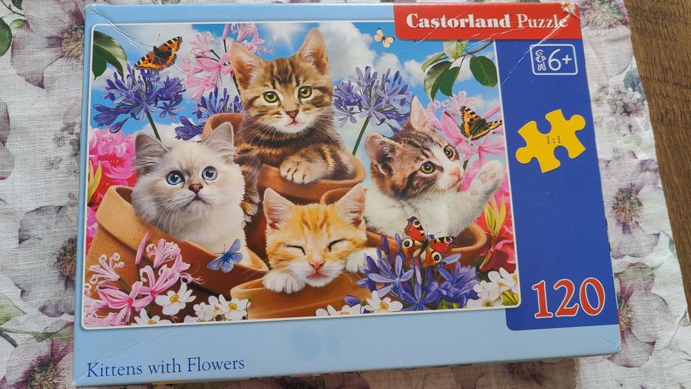 Puzzle 60 elementów kotki