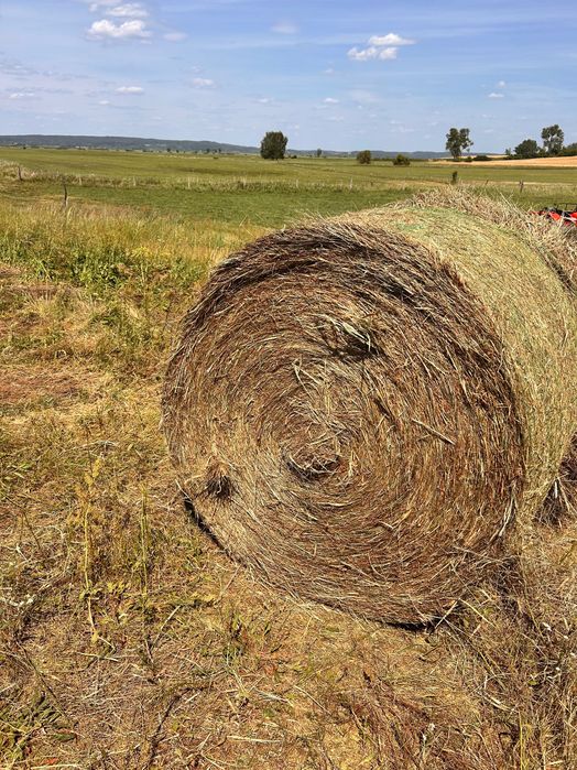 Siano z dobrych łąk.