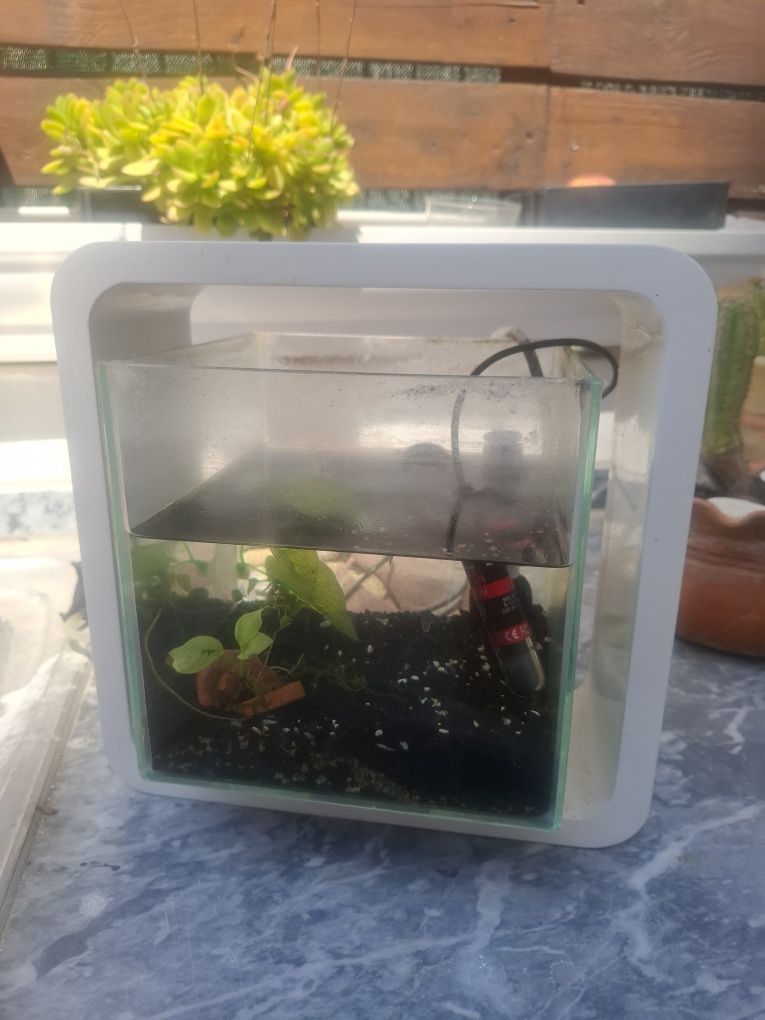Aquario cubo branco