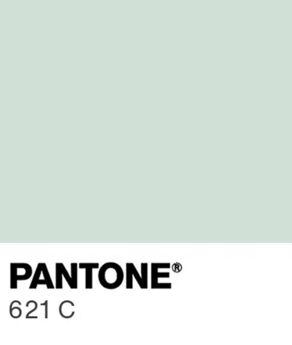 Шапка зимова Rioni