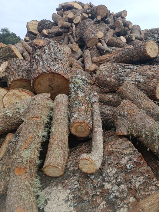 Lenha de carvalho