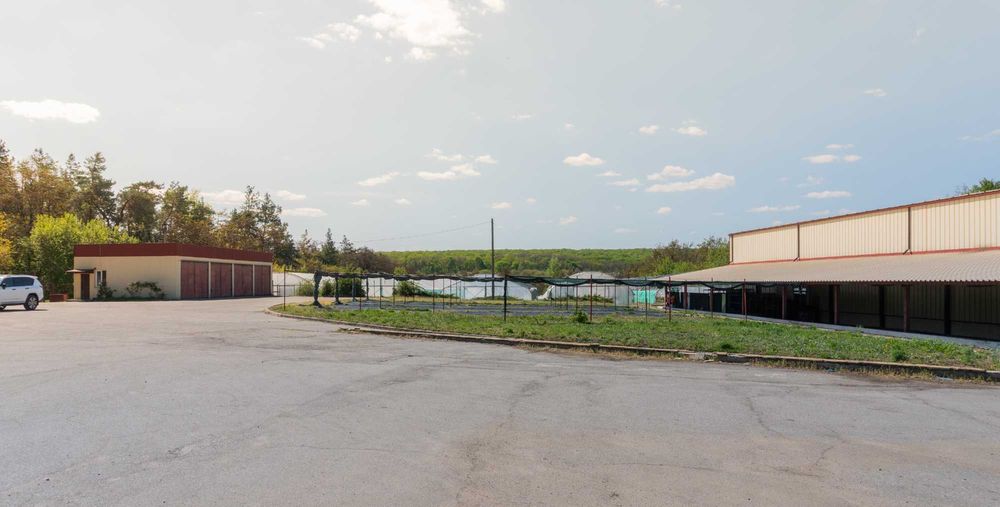 Теплиці в оренду |  теплі підлоги, вода, світло | смт Хорошеве