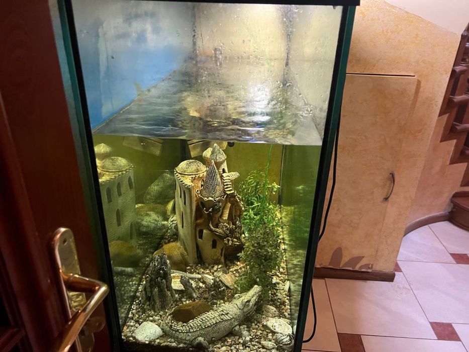 Продам акваріум з усім