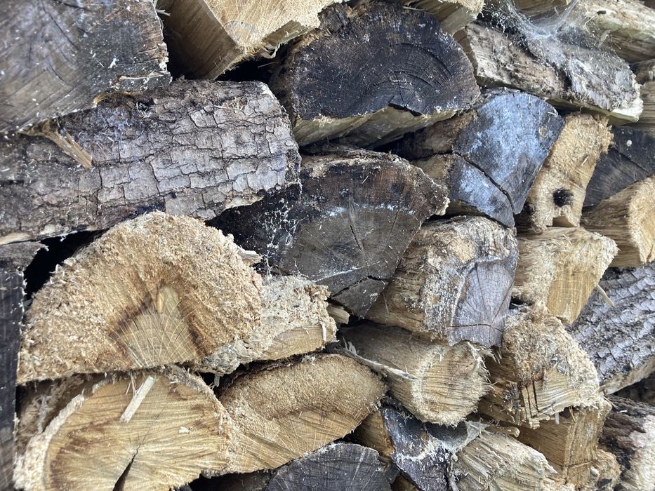 Lenha Carvalho Saco de 10 kgs