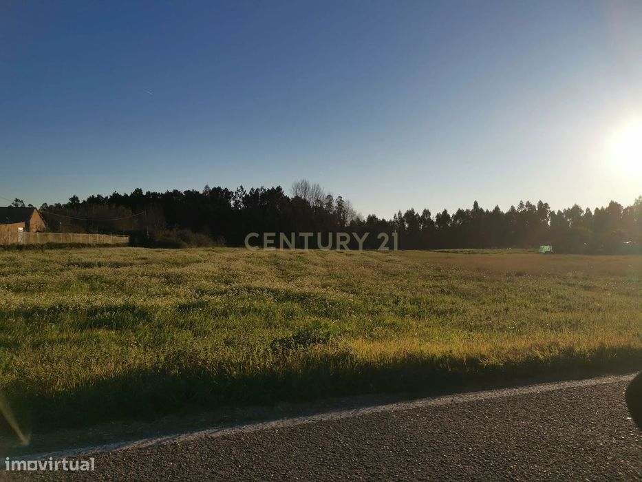 Terreno Rústico em Catarruchos - Arazede