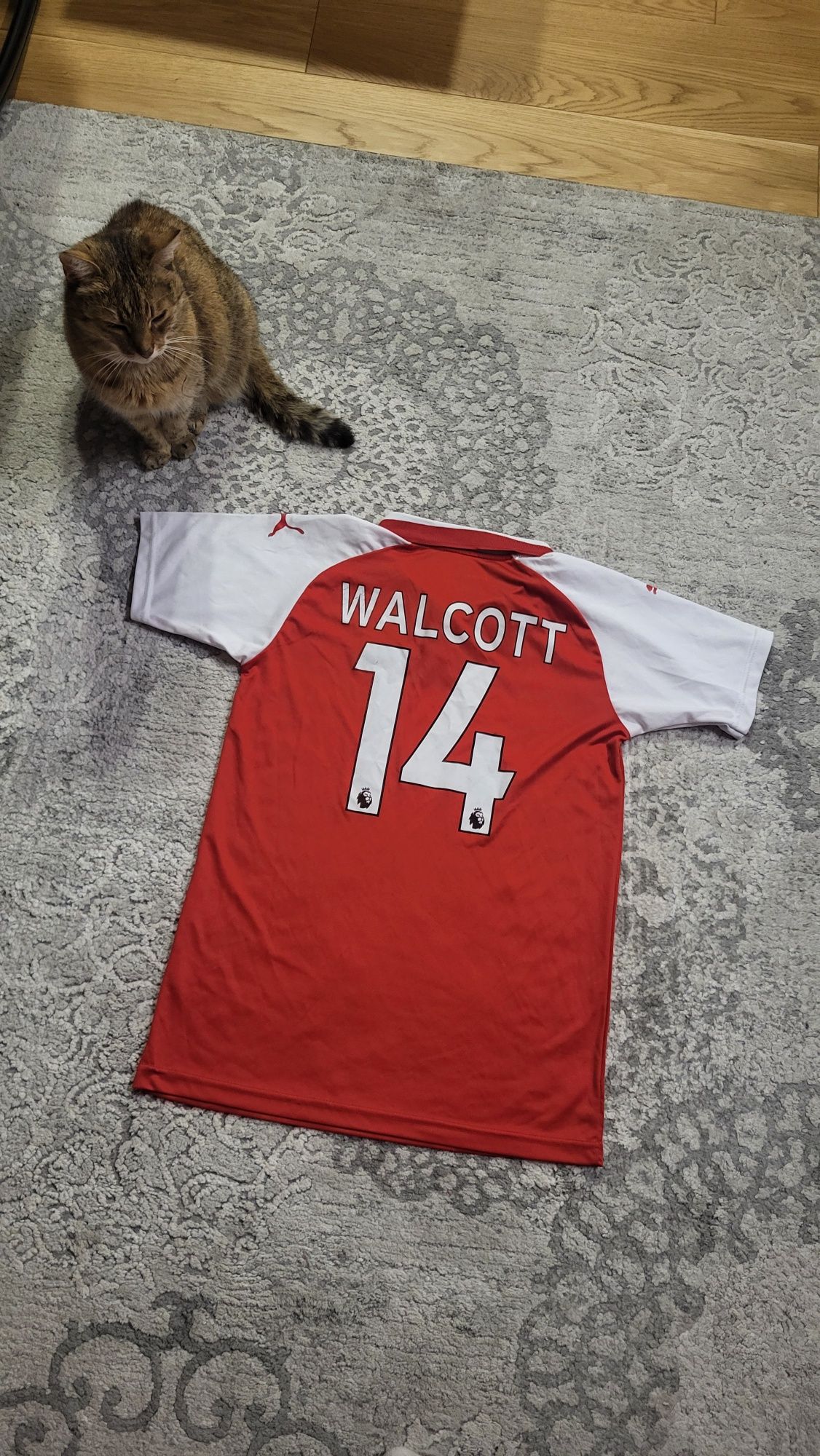 Koszulka piłkarska Arsenal Walcott S