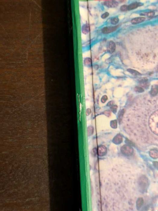 Livro Sobotta - Atlas de Histologia