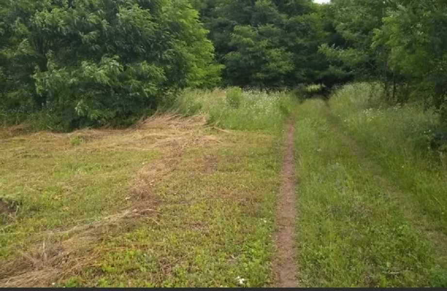 Ділянка село Лісові Гринівці