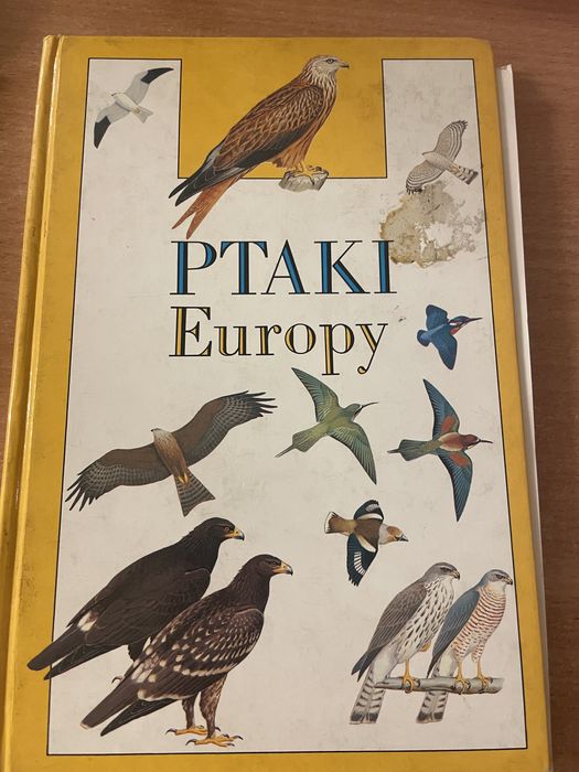 Ptaki Europy. Książka.