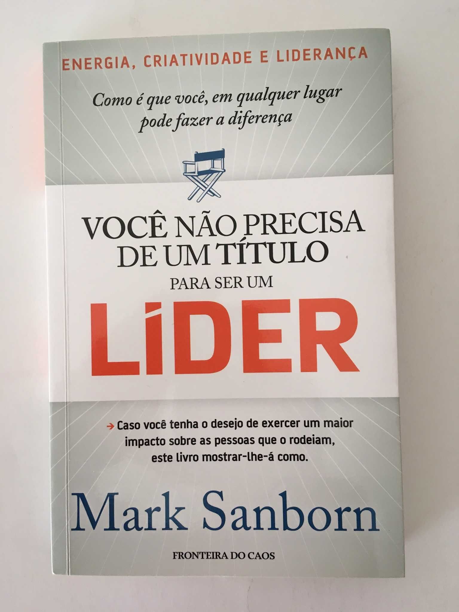 O Segredo - O Gestor de Sonhos - Vários Livros