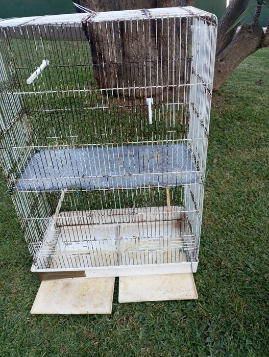 Gaiola para aves