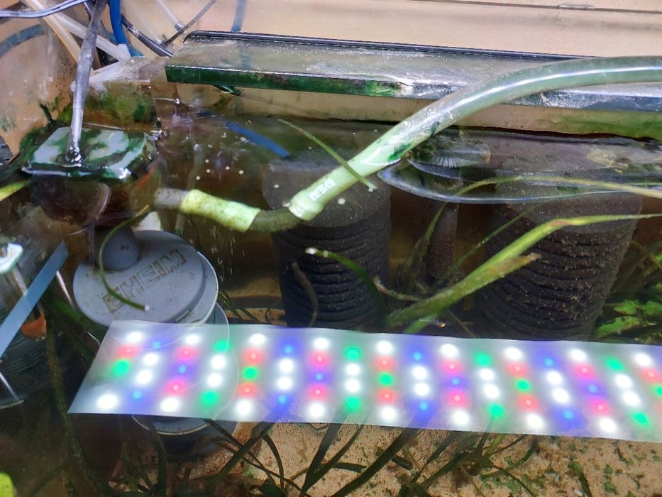 Aquario 120x50x50cm completo para venda