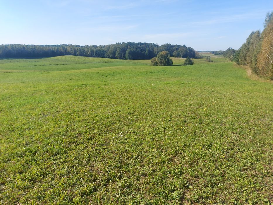 Działka rolna Porbady