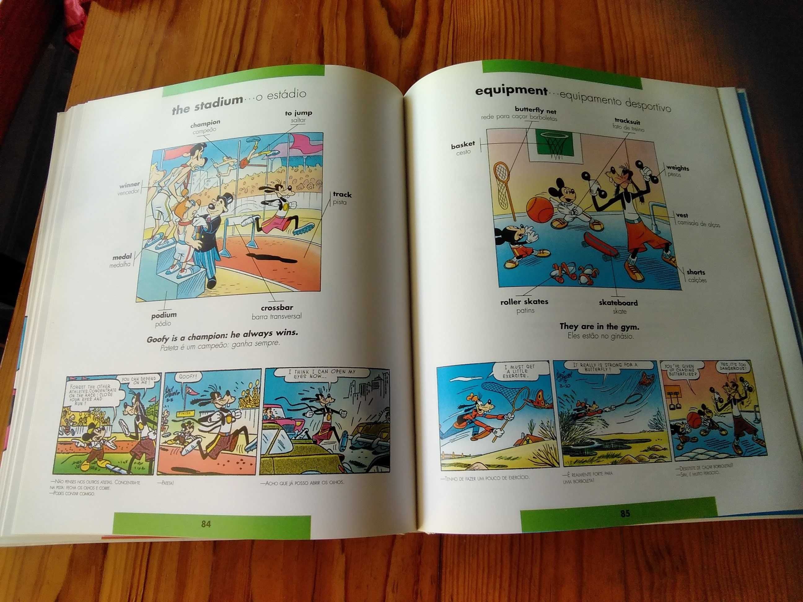 Dicionário Ilustrado Inglês