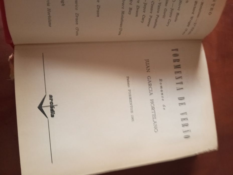 Juan Garcia Hortelano - Tormenta de verão