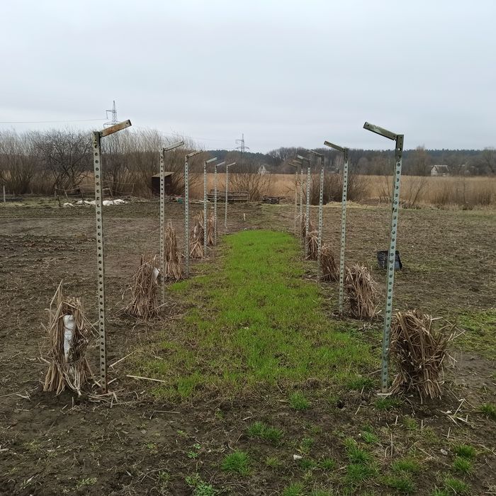 Дача, ділянка 18 соток+сад Олдиш